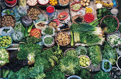 http://www.masa.co.il/MASA/_fck_uploads/Image/articles/october%202010/vietnam/north1_new.gif